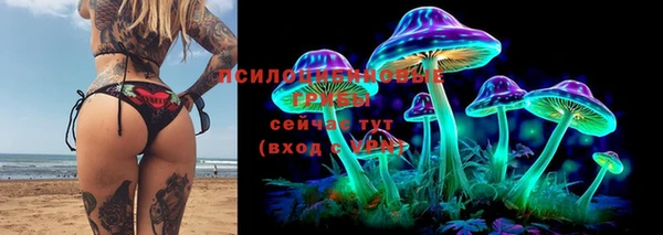 МДМА Алексеевка