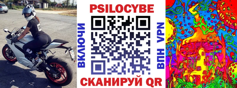 Галлюциногенные грибы мицелий  Гусь-Хрустальный 